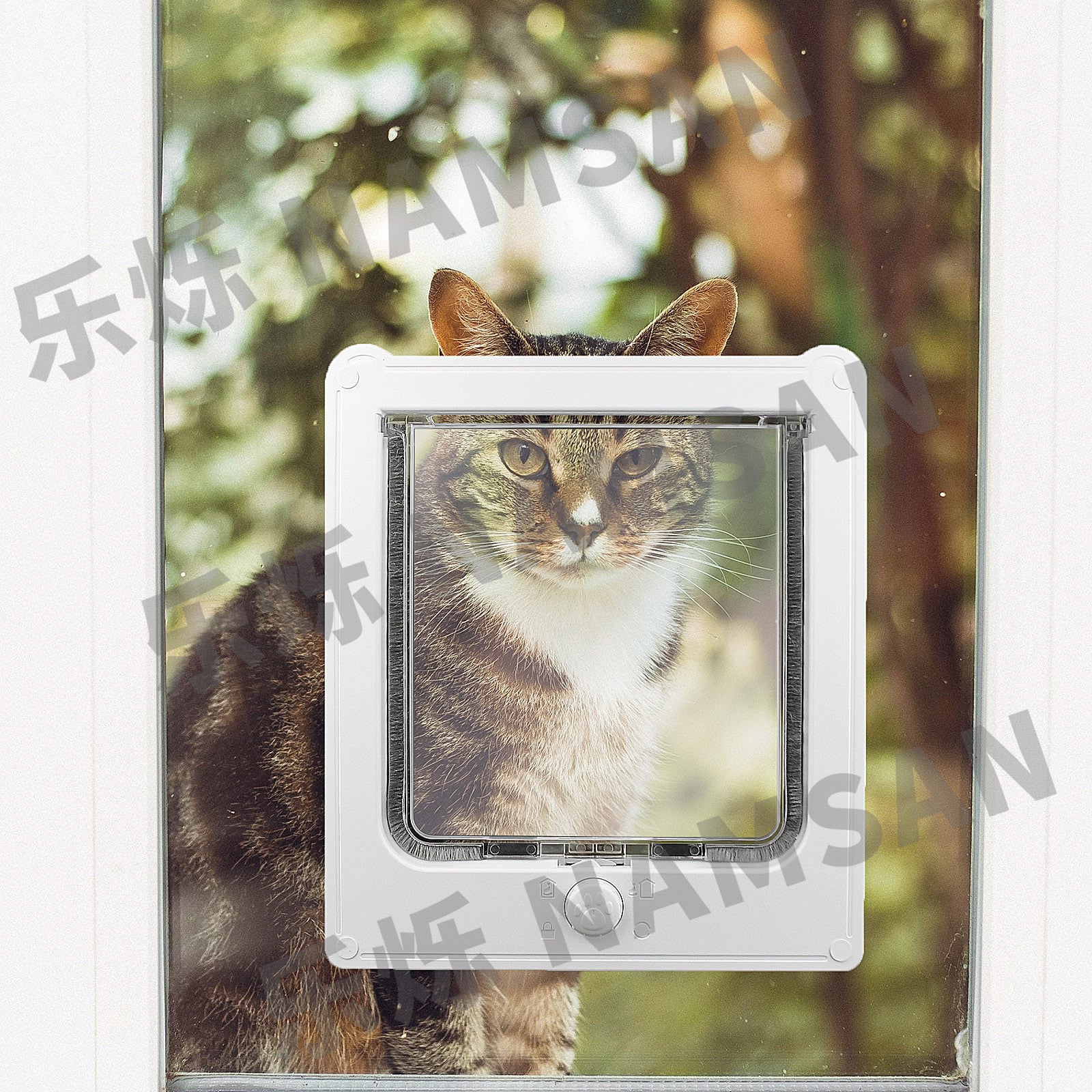 Nouvelles fournitures pour animaux de compagnie porte de chat porte de chien trou d'entrée et de sortie sans trou peut contrôler l'accès à la maison de chat chien Cage porte en bois pour animaux de compagnie