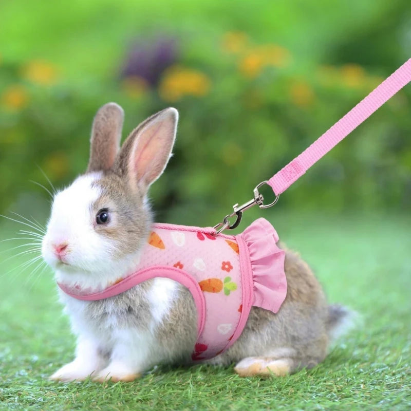 Harnais pour lapin avec laisse, boucle réglable, gilet et jupe en maille respirante - Autres