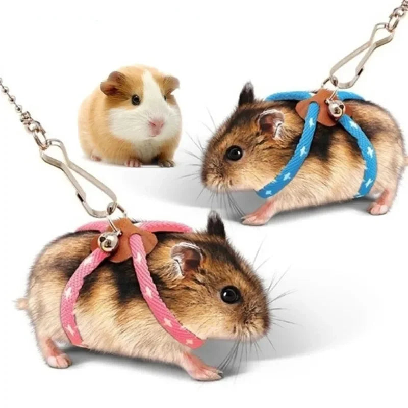 Harnais et laisse pour Hamster, rat ou autres petits rongeurs