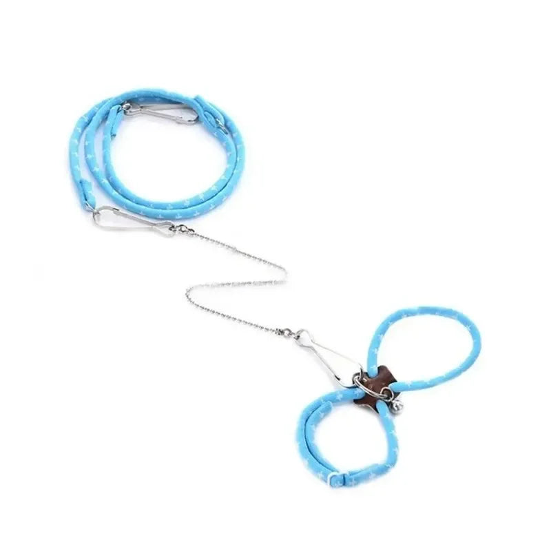 Harnais et laisse pour Hamster, rat ou autres petits rongeurs