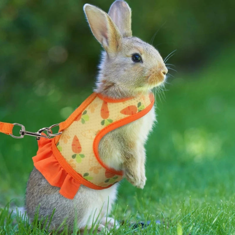 Harnais pour lapin avec laisse, boucle réglable, gilet et jupe en maille respirante - Autres