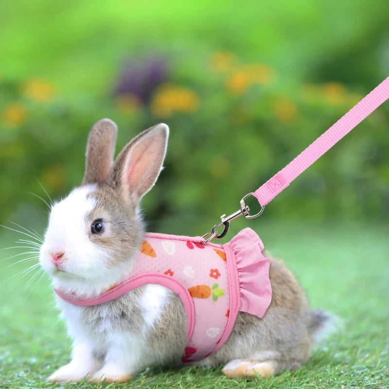 Harnais pour lapin avec laisse, boucle réglable, gilet et jupe en maille respirante - Autres