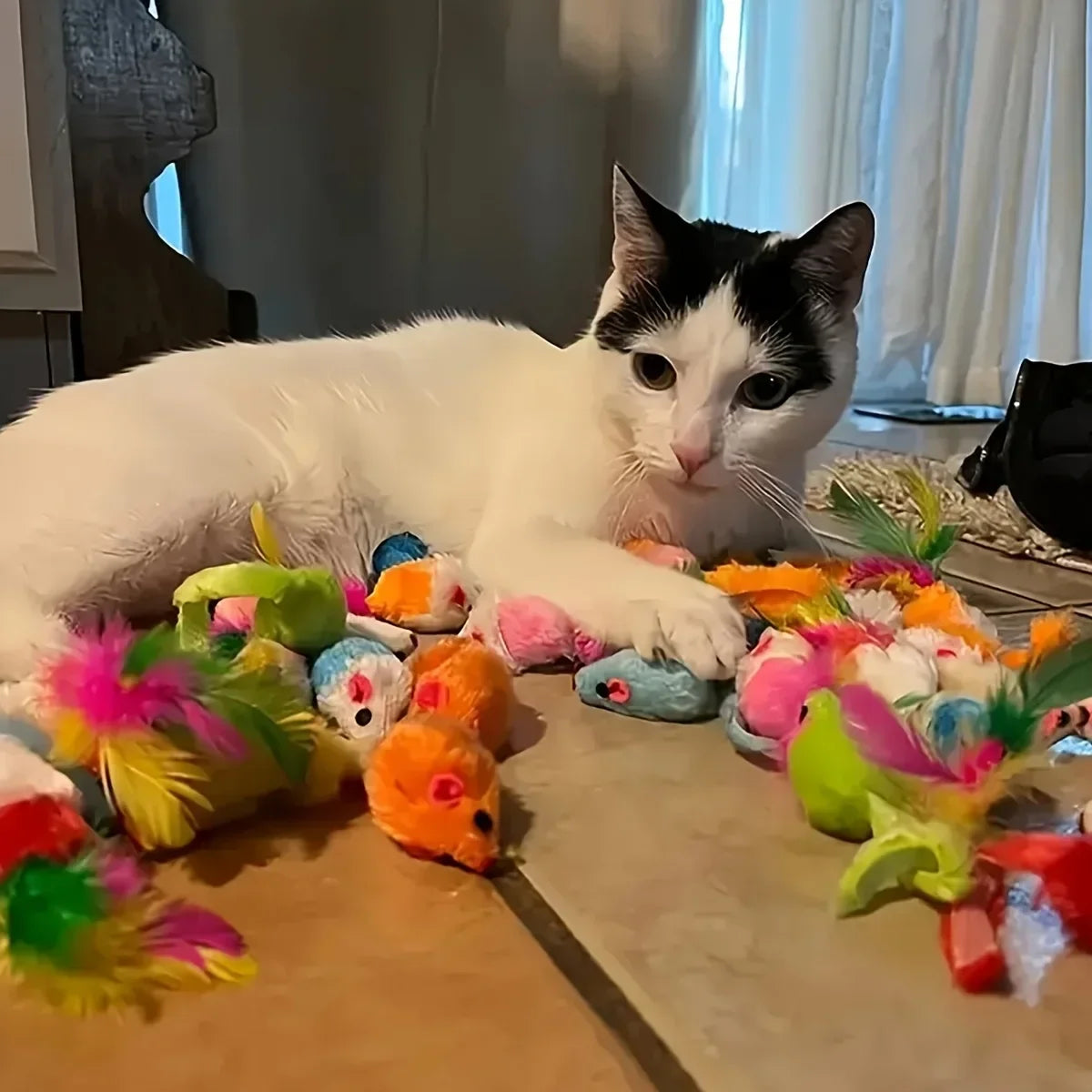 Lot de 56/28/14 jouets pour chat (assortiment). Un mélange de jouets en plastique et peluche
